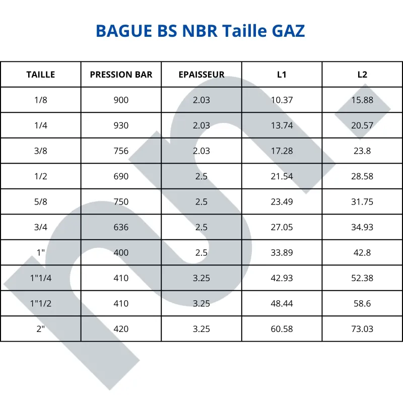 BAGUE BS NBR Autocentrée
