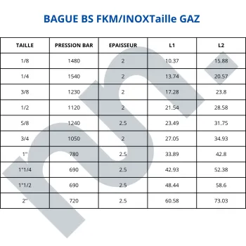 BAGUE BS INOX FKM VITON